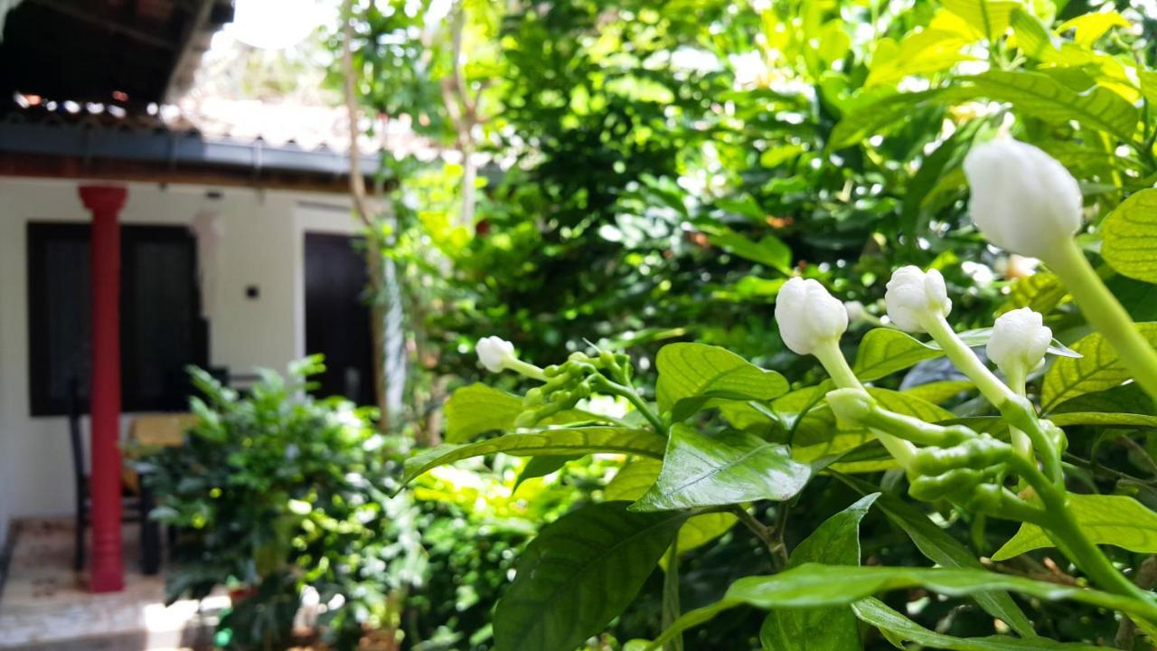 Green Garden Guest Мириса Екстериор снимка